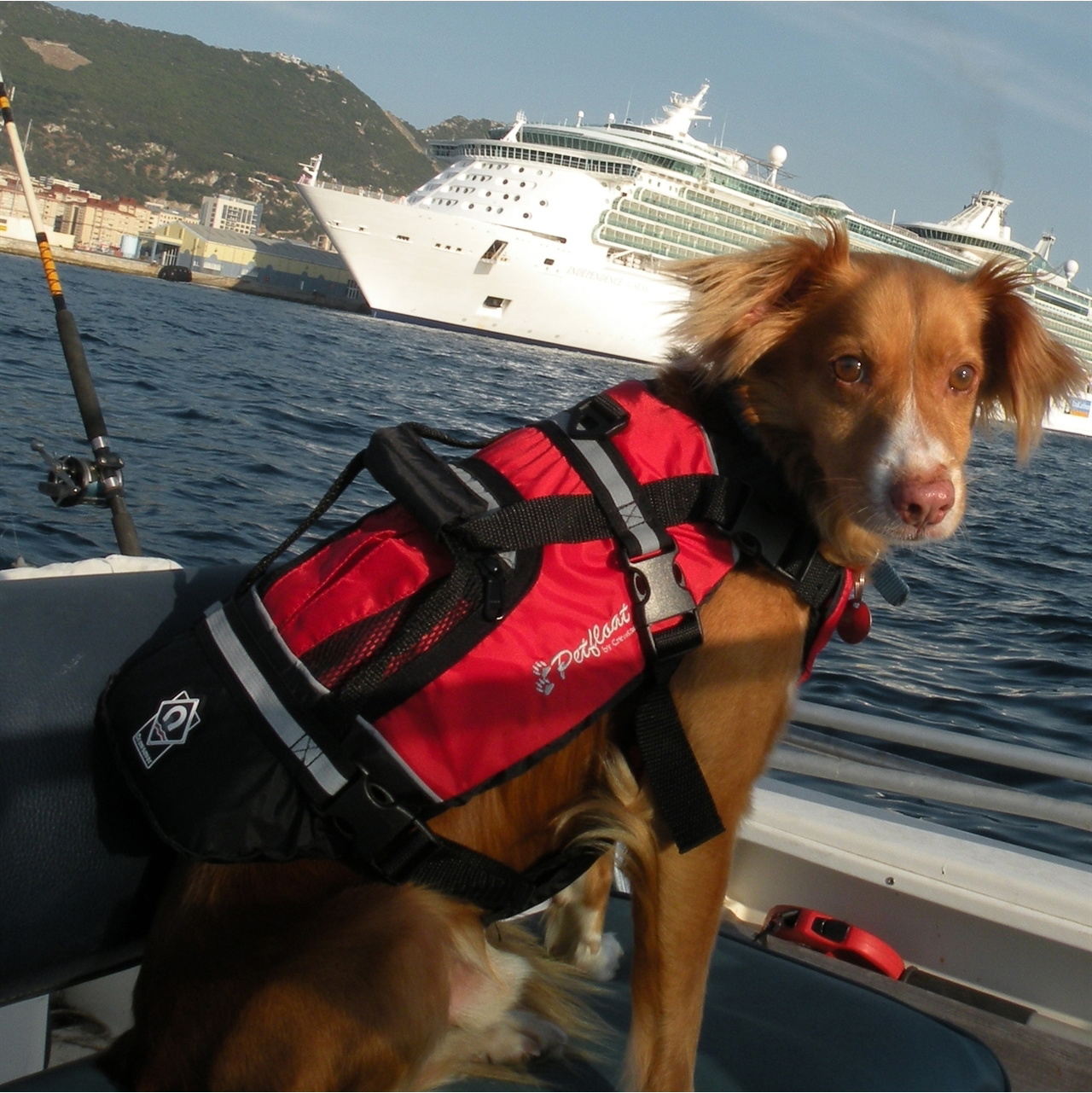 2026 Crewsaver Pet Hund / Katze Schwimmweste Float 2370 - Red