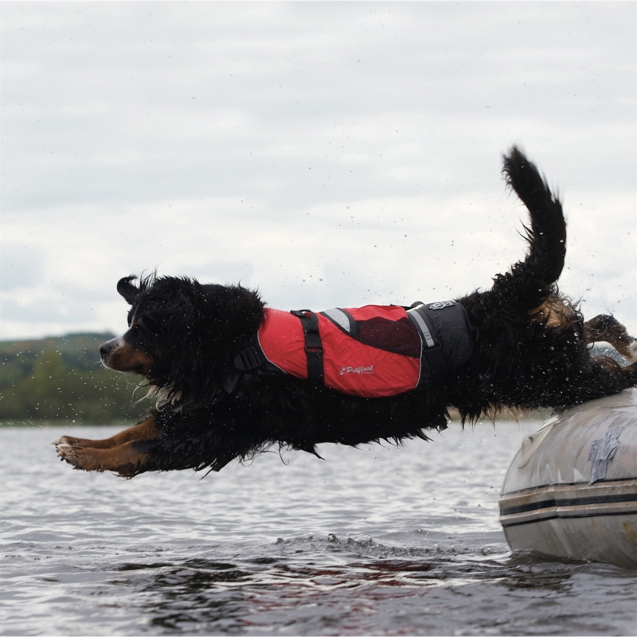 2026 Crewsaver Pet Hund / Katze Schwimmweste Float 2370 - Red