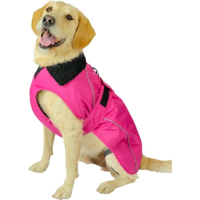 orthopdisches bett hund Orthopdisches Hundebett online kaufen