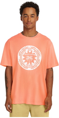 2026 ONeill M&auml;nner Muss-Haves Grafik T-Shirt 2850368 - Funky Peach
