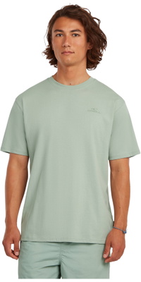 2026 O'Neill M&auml;nner Kleines Logo T-Shirt 2850371 - Marble Arch