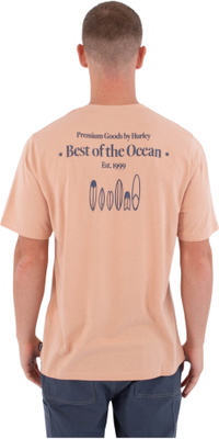 2026 Hurley M&auml;nner Druckpresse Biriri T-Shirt MTSEUED0002619 - Beach Clay