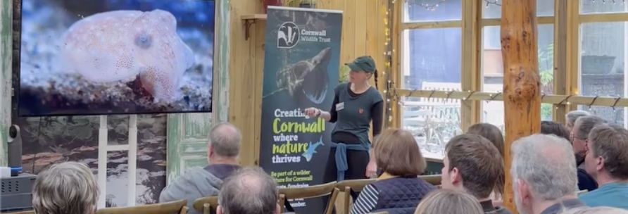 Speaker giving a marine wildlife talk to a seated audience beside a Cornwall Wildlife Trust banner